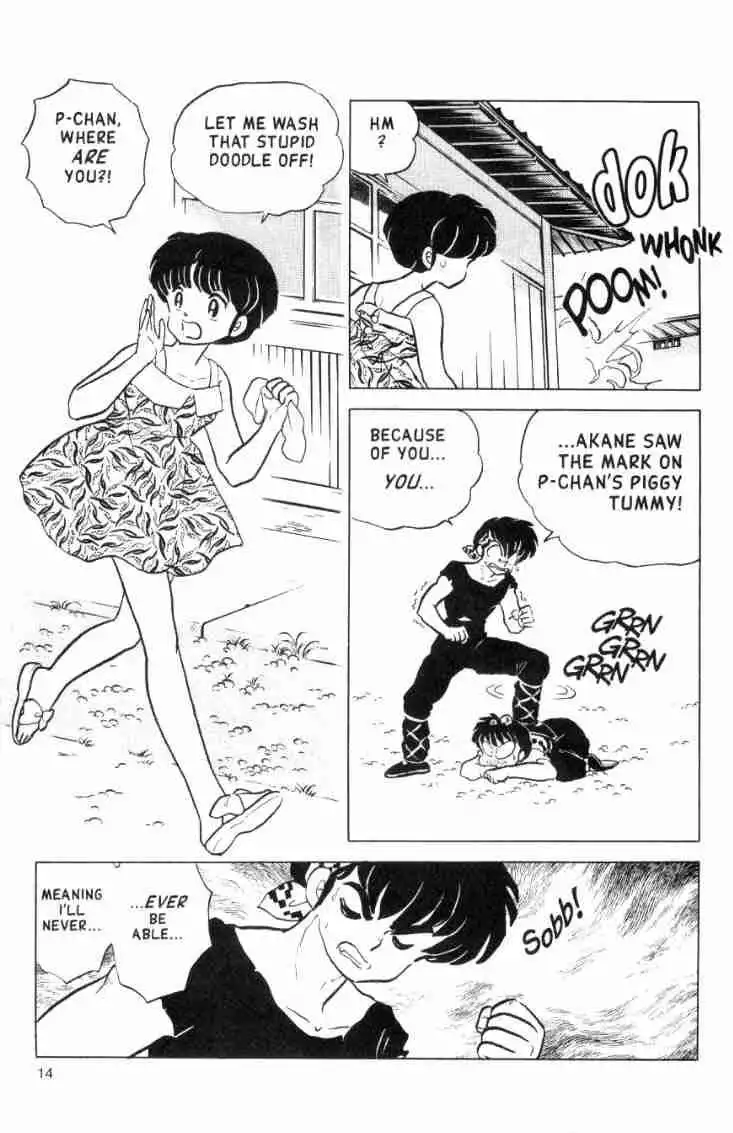 Ranma 1/2 Chapter 143 14